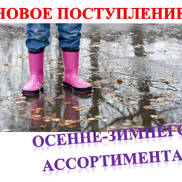 Новое поступление